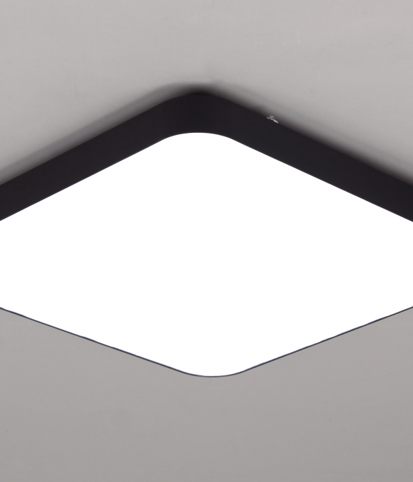 루시드 방등 [50W]